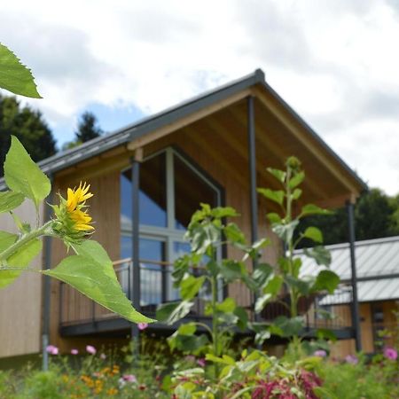Frongahof Villa Waldkirchen Eksteriør billede
